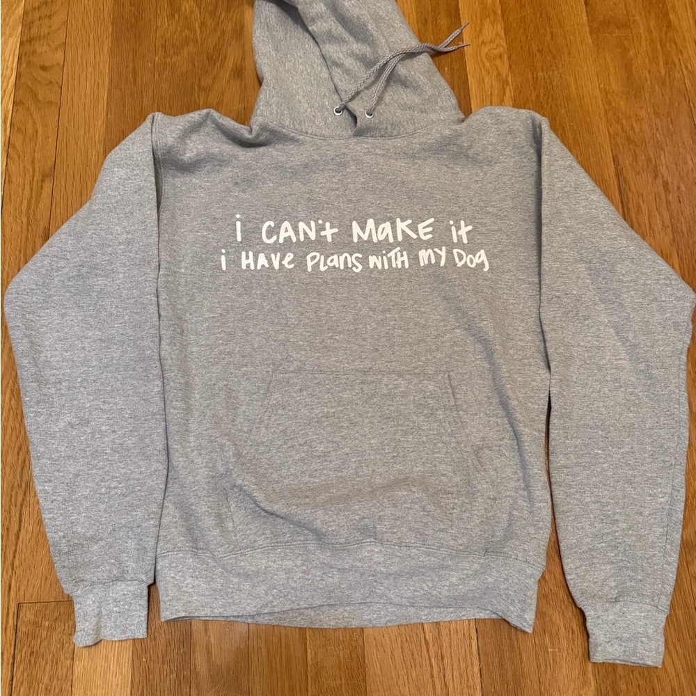 Gray Hoodie with Fun Slogan